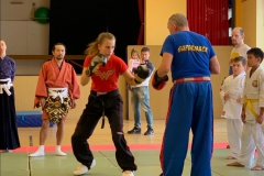 Kampfkunst- und Fitnesslehrgang 2019